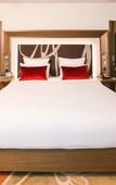 Туры в отель Novotel New Delhi Aerocity Туры в отель Novotel New Delhi Aerocity