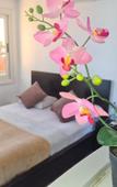 Туры в отель Lilly Rooms and Studios Туры в отель Lilly Rooms and Studios