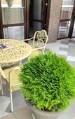 Туры в отель Holiday And Business Apartments Туры в отель Holiday And Business Apartments