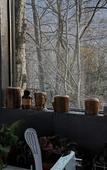 Туры в отель Polyana A House Туры в отель Polyana A House
