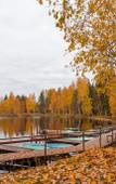 Туры в отель Valday Hunting & Country Club Туры в отель Valday Hunting & Country Club