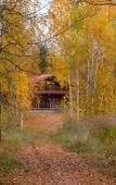 Туры в отель Valday Hunting & Country Club Туры в отель Valday Hunting & Country Club