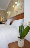 Туры в отель Aura Boutique Hotel Туры в отель Aura Boutique Hotel