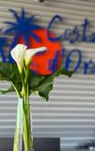 Туры в отель Costa d'Ora Туры в отель Costa d'Ora