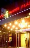 Туры в отель Falcon Plaza Туры в отель Falcon Plaza