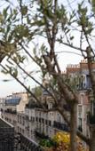 Туры в отель Bachaumont Туры в отель Bachaumont