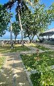 Туры в отель Casa Smeralda Туры в отель Casa Smeralda