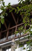 Туры в отель Кука экокурорт Туры в отель Кука экокурорт