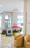 Туры в отель Prague NhaTrang Hotel Туры в отель Prague NhaTrang Hotel
