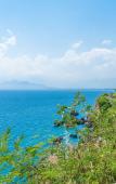 Туры в отель Tema 242 Hotel Туры в отель Tema 242 Hotel