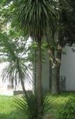 Туры в отель Guesthouse Delfin Туры в отель Guesthouse Delfin