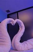 Туры в отель Get Link Hip Hotel Туры в отель Get Link Hip Hotel