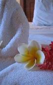 Туры в отель Febris Hotel and Spa Туры в отель Febris Hotel and Spa