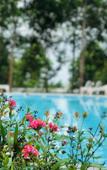Туры в отель Doi Sao Phu Quoc Туры в отель Doi Sao Phu Quoc