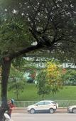 Туры в отель Marina Hotel Hanoi Туры в отель Marina Hotel Hanoi