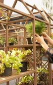 Туры в отель Aleenta Retreat Chiang Mai Туры в отель Aleenta Retreat Chiang Mai