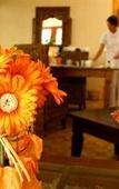 Туры в отель Ferienhotel Woerthersee Туры в отель Ferienhotel Woerthersee