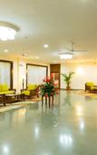 Туры в отель Viva Hotel Туры в отель Viva Hotel