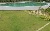 Туры в отель Green Tree Hotel Phu Quoc Туры в отель Green Tree Hotel Phu Quoc