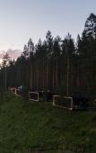 Туры в отель Pinewood resort & SPA Туры в отель Pinewood resort & SPA