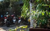 Туры в отель Cosy Bungalow Phu Quoc Туры в отель Cosy Bungalow Phu Quoc