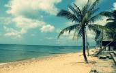Туры в отель Cosy Bungalow Phu Quoc Туры в отель Cosy Bungalow Phu Quoc