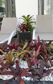 Туры в отель Villa Caribe Phu Quoc Туры в отель Villa Caribe Phu Quoc
