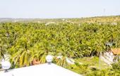 Туры в отель Mui Ne Beach Hotel Туры в отель Mui Ne Beach Hotel
