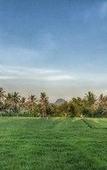 Туры в отель Bali Harmony Villas Туры в отель Bali Harmony Villas