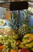Туры в отель Hotel Vibra San Remo Туры в отель Hotel Vibra San Remo