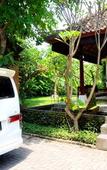 Туры в отель Sapodilla Ubud Туры в отель Sapodilla Ubud