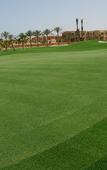 Туры в отель Jaz Little Venice Golf Resort Туры в отель Jaz Little Venice Golf Resort