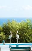Туры в отель Filion Suites Resort & Spa Туры в отель Filion Suites Resort & Spa