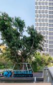 Туры в отель Ramada by Wyndham Bangkok Sukhumvit 87 Туры в отель Ramada by Wyndham Bangkok Sukhumvit 87