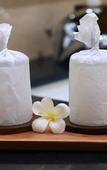 Туры в отель Byasa Ubud Туры в отель Byasa Ubud