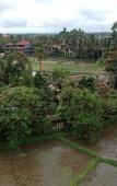 Туры в отель Byasa Ubud Туры в отель Byasa Ubud