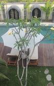 Туры в отель U Tube Hotel & Spa Туры в отель U Tube Hotel & Spa