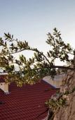 Туры в отель Villa Palloma Туры в отель Villa Palloma