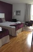 Туры в отель First Hotel Royal Star Туры в отель First Hotel Royal Star