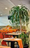 Туры в отель Rebro Hotel Туры в отель Rebro Hotel