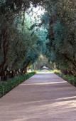 Туры в отель The Oberoi Marrakech Туры в отель The Oberoi Marrakech