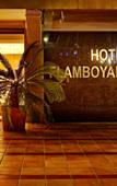 Туры в отель Flamboyan Caribe Туры в отель Flamboyan Caribe