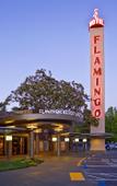 Туры в отель Flamingo Туры в отель Flamingo