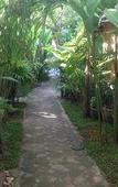 Туры в отель Ruan Mai Naiyang Beach Resort Туры в отель Ruan Mai Naiyang Beach Resort