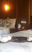 Туры в отель Ruan Mai Naiyang Beach Resort Туры в отель Ruan Mai Naiyang Beach Resort