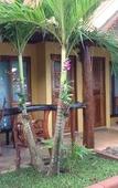 Туры в отель Ruan Mai Naiyang Beach Resort Туры в отель Ruan Mai Naiyang Beach Resort