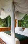 Туры в отель Bambu Indah Resort Туры в отель Bambu Indah Resort