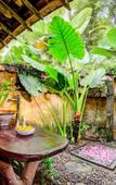 Туры в отель Bambu Indah Resort Туры в отель Bambu Indah Resort