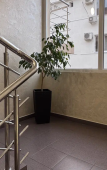 Туры в отель DAS Туры в отель DAS