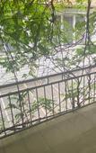 Туры в отель Белые паруса Туры в отель Белые паруса